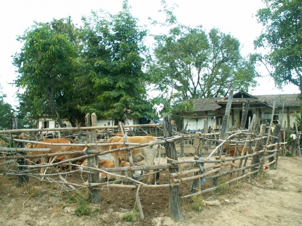Village près de Kontum (1)